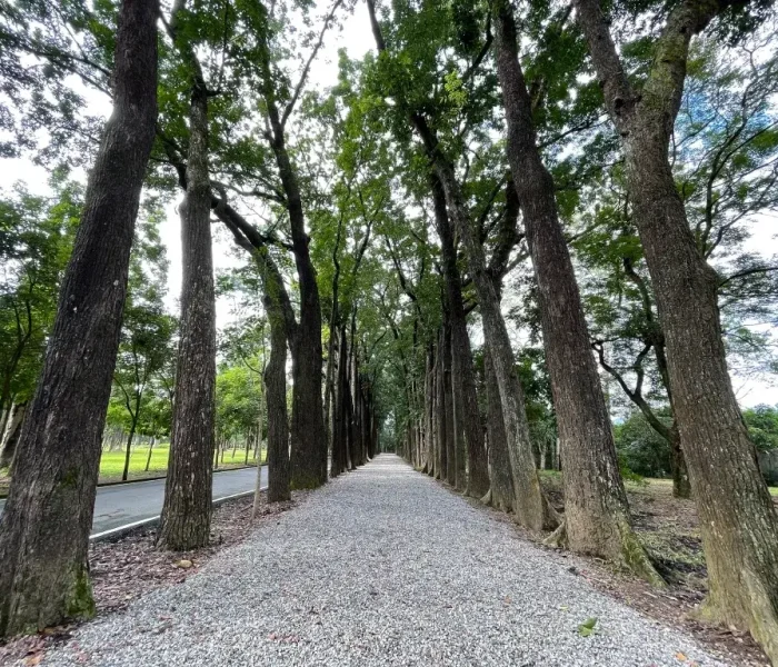 新威森林公園